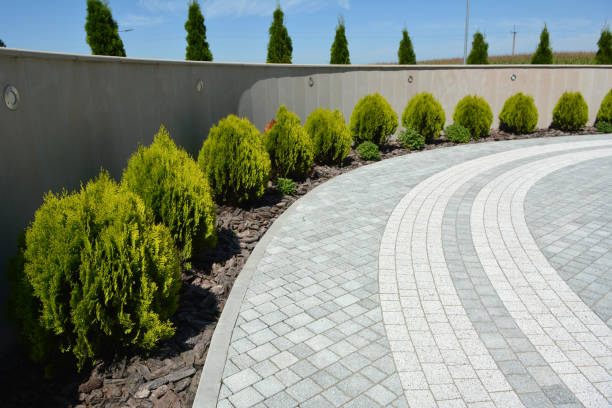 Best Concrete Paver Driveway  in Chandler, AZ
